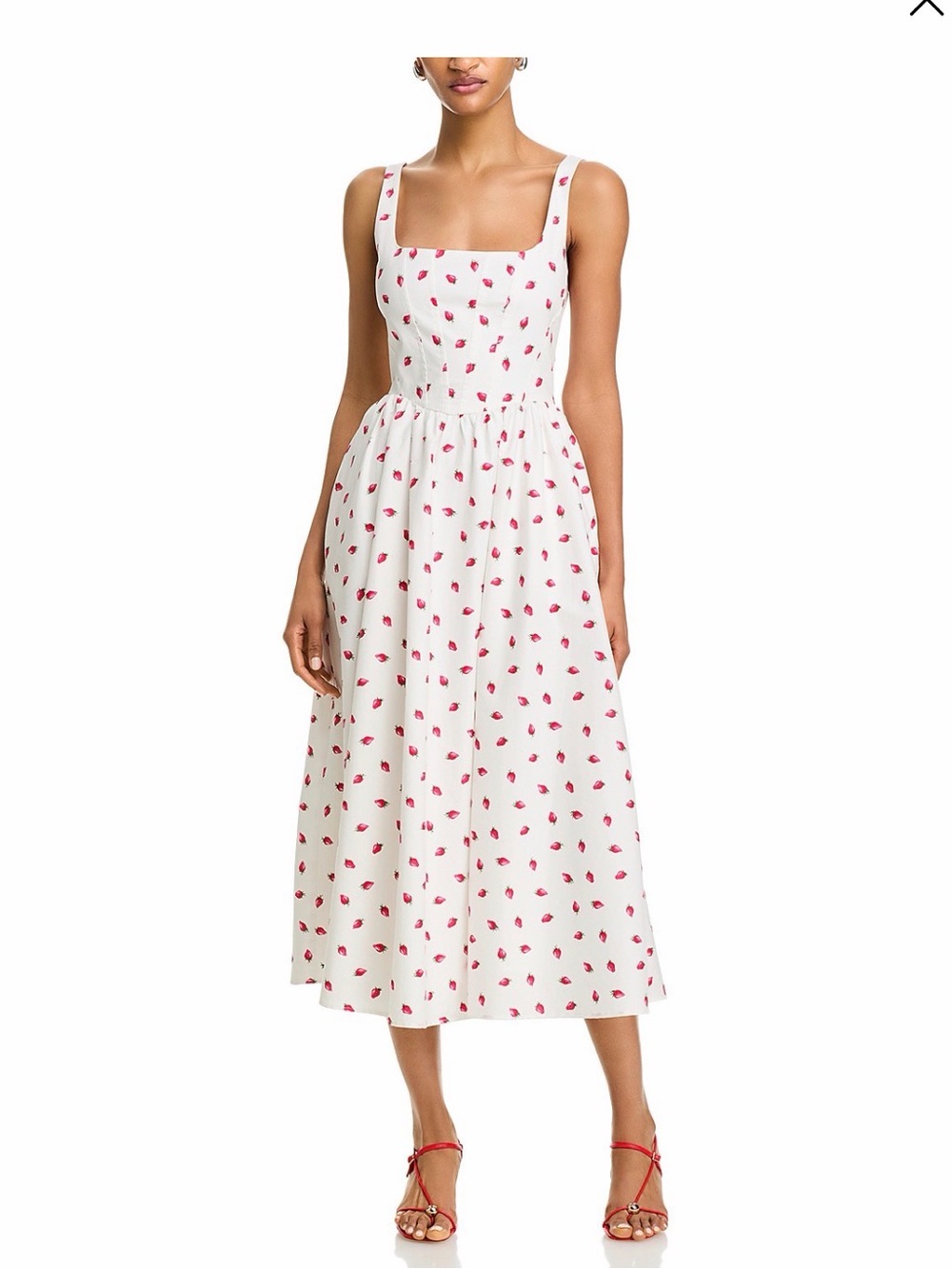 Wayf White Midi Dress with Red Strawberry Print Desi A Line Corset Dress